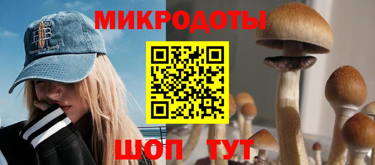 Галлюциногенные грибы ЛСД Великий Новгород