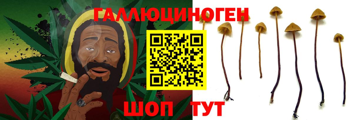 Великий Новгород  Галлюциногенные грибы прущие грибы  Псилоцибиновые грибы GOLDEN TEACHER  Вход с VPN 